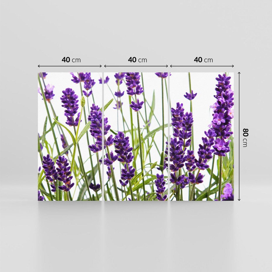 Obraz na płótnie 120x80 - Fioletowa harmonia lawendy - lawenda, fiolet