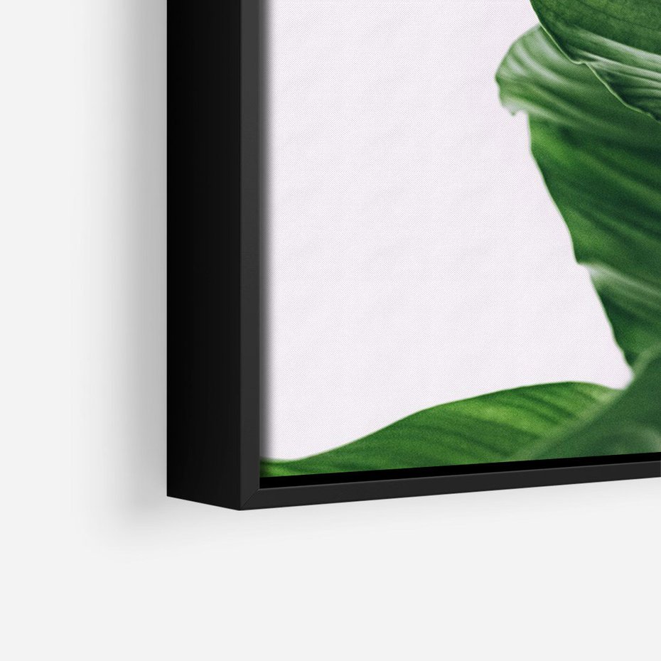 Obraz w ramie 50x70 - Zielone liście monstery - liście, monstera - rama czarna