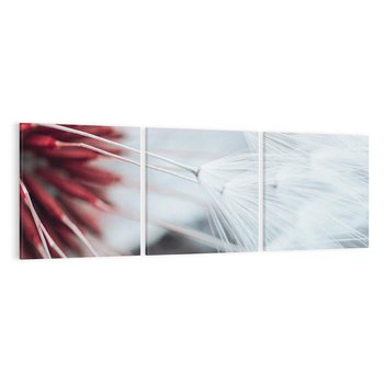 Obraz na płótnie 150x50 - Makro świat dmuchawca - dmuchawiec, makro