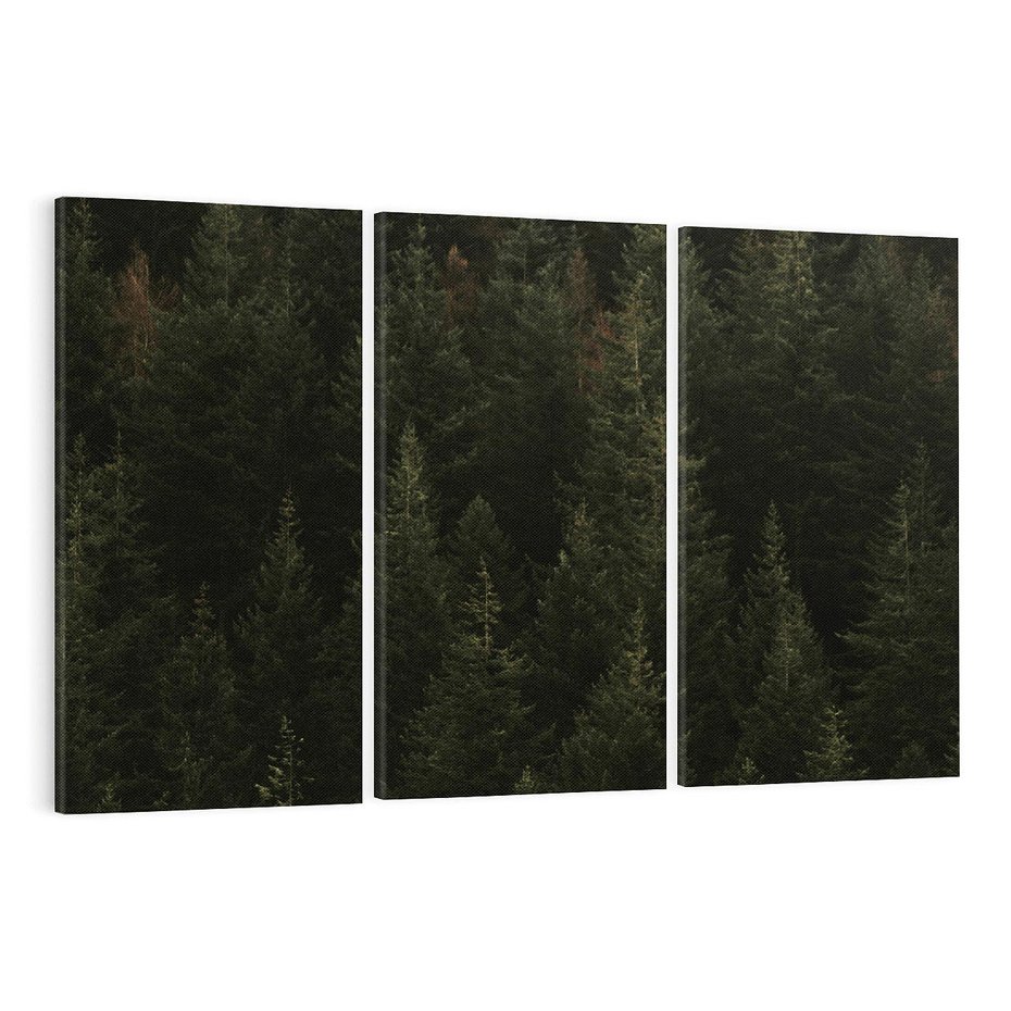 Obraz na płótnie 120x80 - Ciemny las iglasty - las, iglasty