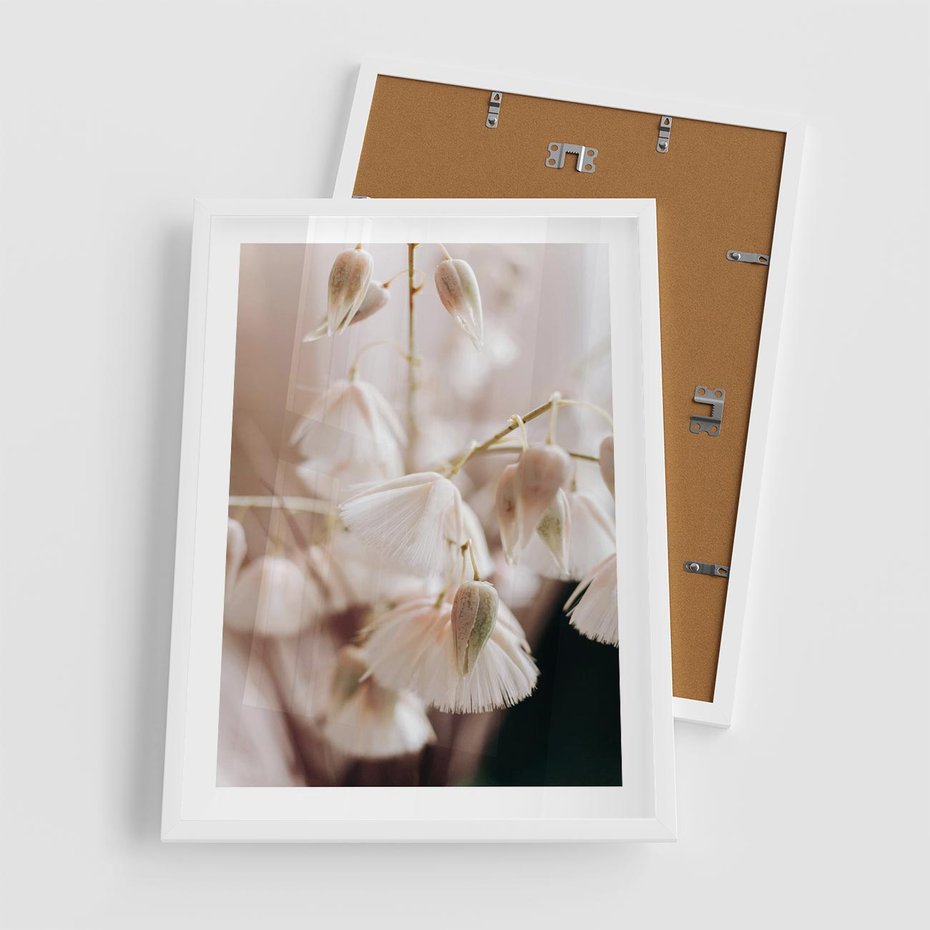 Plakat w ramie 50x70 - Suszona Delikatność - suszone kwiaty, rośliny - rama biała