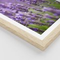 Plakat w ramie 40x50 - Urok lawendy - lawenda, kwiaty - rama drewno