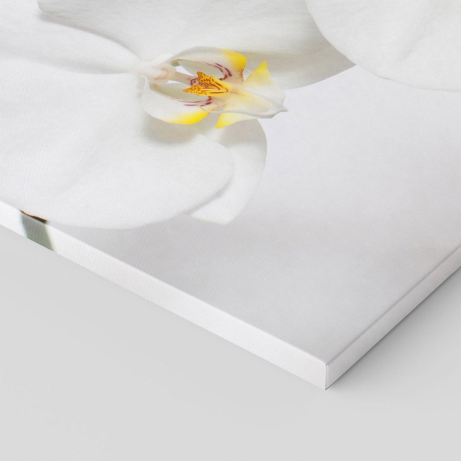 Obraz na płótnie 120x40 - Orchidea Kwiat - orchidea, kwiat