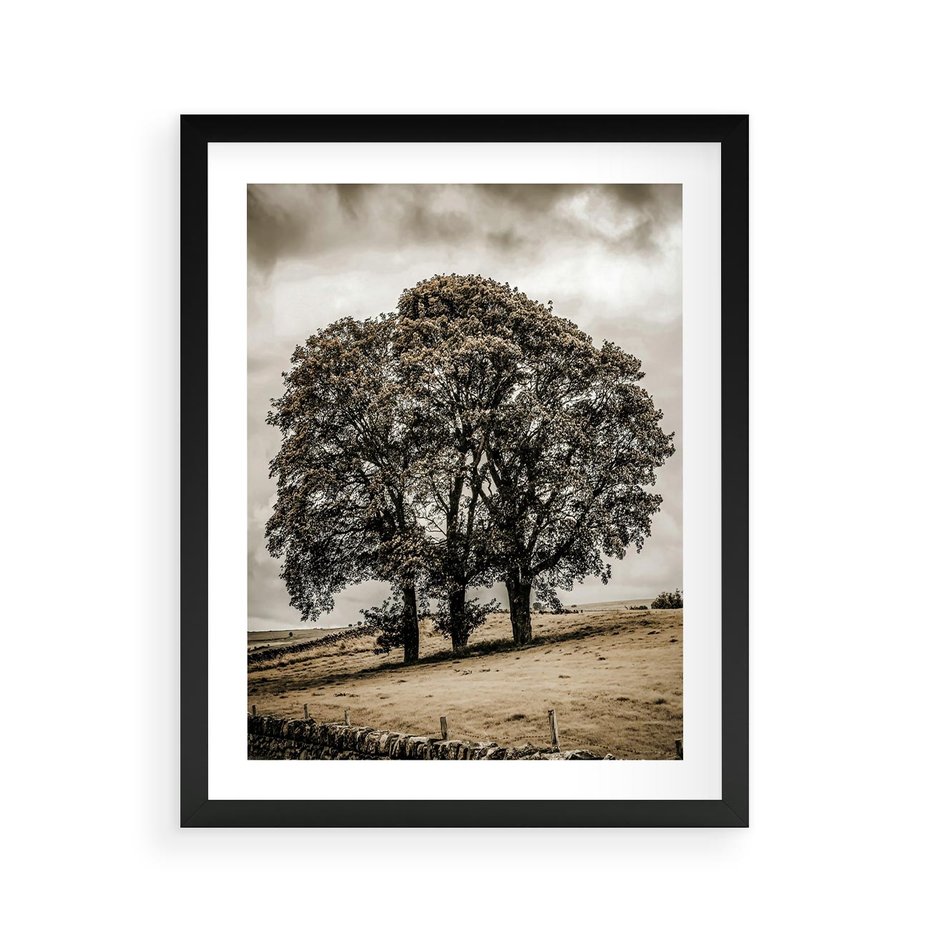 Plakat w ramie 40x50 - Spokojna Osamotniona Chwila - beżowe kolory, samotne drzewo na polu - rama czarna