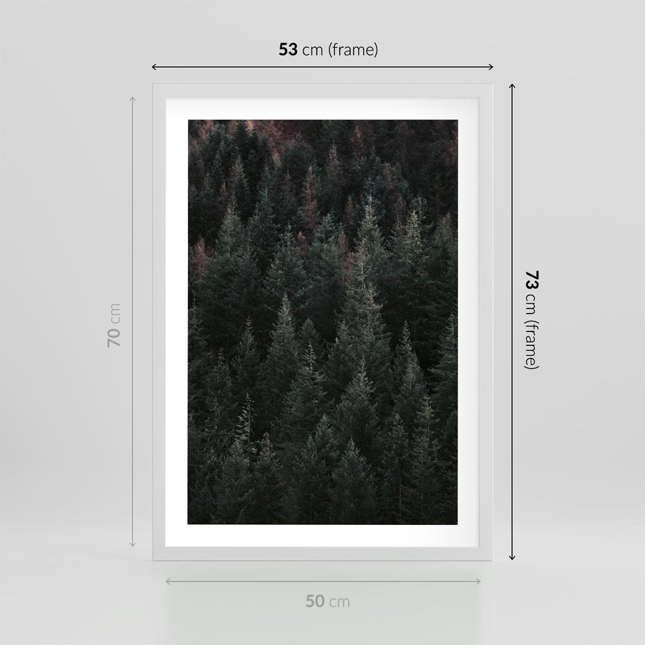 Plakat w ramie 50x70 - Wysoko nad Iglastym Lasem - las, perspektywa - rama biała