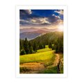 Plakat bez ramy 30x40 - Zachód słońca na łące - zachód, łąka
