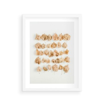 Plakat w ramie 50x70 - Liście Złotego Sezonu - kompozycja z suchych żółtych liści - rama biała