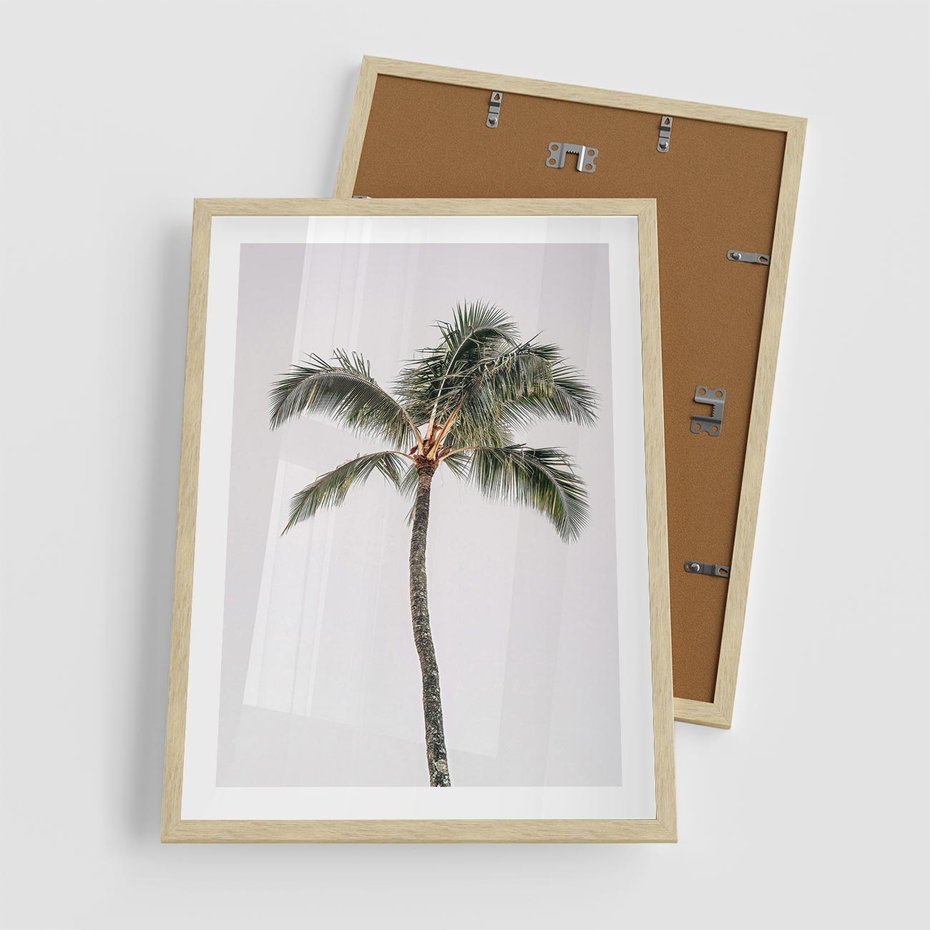 Plakat w ramie 50x70 - Wakacyjne Marzenia - palma na tle nieba - rama drewno