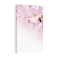 Obraz na płótnie 80x120 - Kwitnąca Wiśnia - kwiaty, kwitnącej