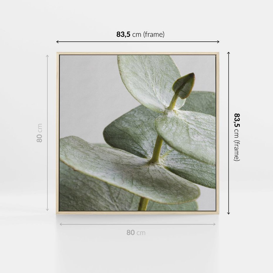 Obraz w ramie 80x80 - Eukaliptusowa zieleń - eukaliptus, zielone - rama drewno