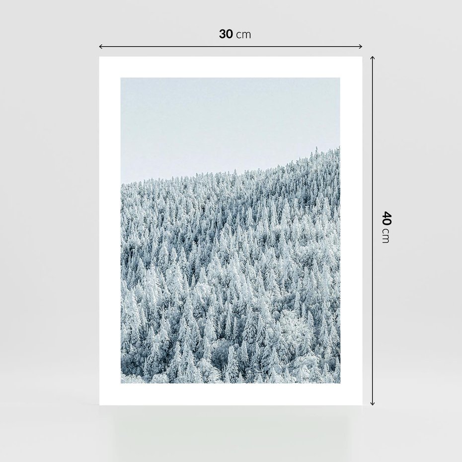 Plakat bez ramy 30x40 - Cicha Zima - las, zima