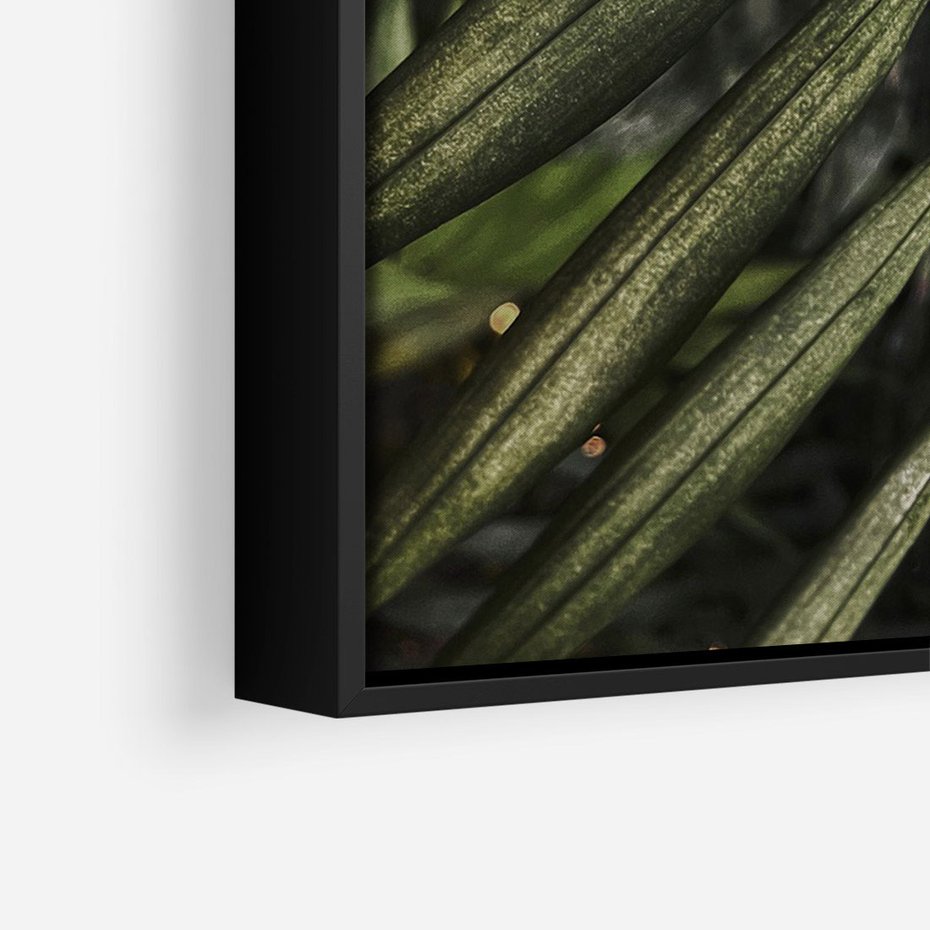 Obraz w ramie 70x100 - W Liściach Ukryte - zdjęcie, fotografia - rama czarna