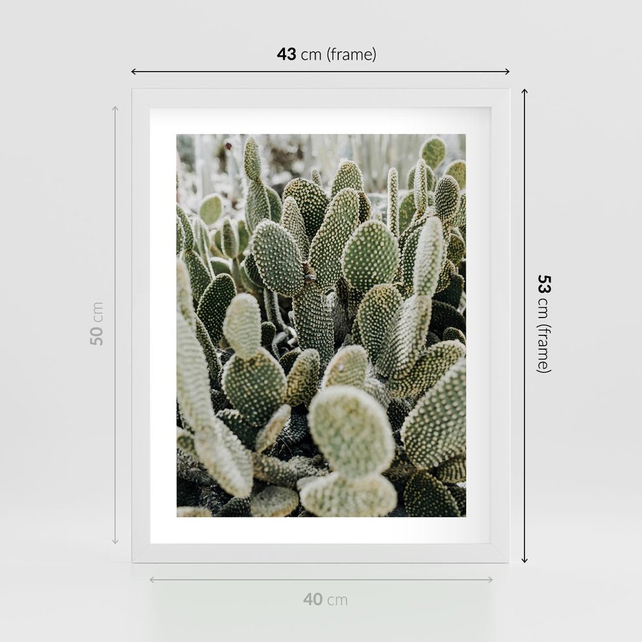 Plakat w ramie 40x50 - Kaktusowa Harmonia - kaktusy, fotografia - rama biała
