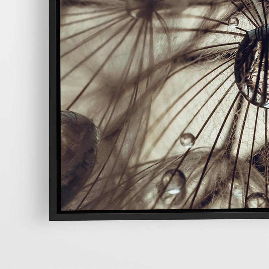 Obraz w ramie 70x50 - Lekkie dmuchawce - dmuchawce, krople - rama czarna