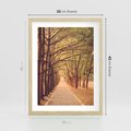 Plakat w ramie 30x40 - Wędrówka między drzewami - droga, drzewa - rama drewno