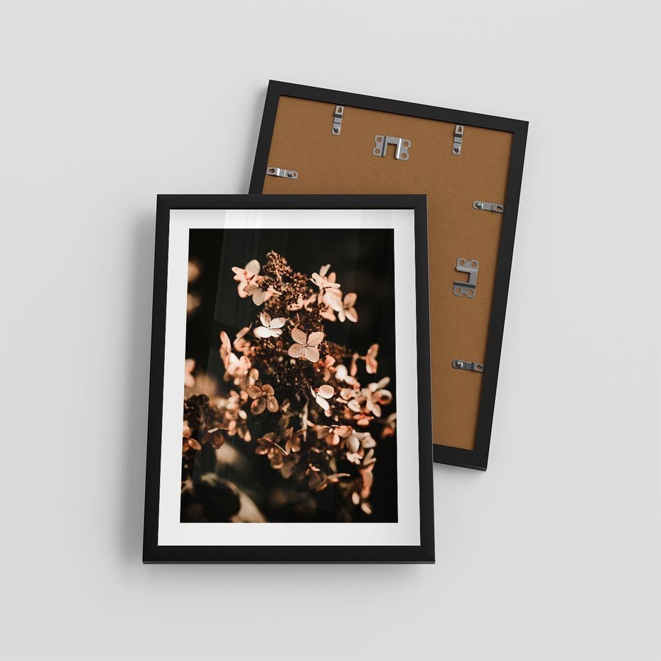 Plakat w ramie 30x40 - Hortensja - Suchy Kwiat w Sztuce - hortensja, suchy kwiat - rama czarna