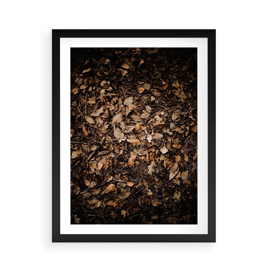 Plakat w ramie 50x70 - Brązowe Liście w Scenerii - suche liście jesień brąz - rama czarna