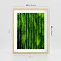 Plakat w ramie 40x50 - Bambusowy urok zielonej harmonii - bambus, zieleń - rama drewno