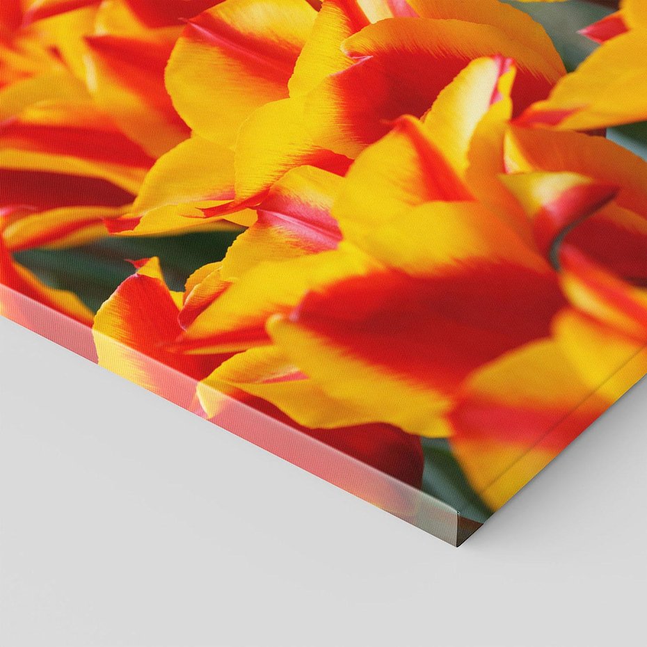 Obraz na płótnie 50x50 - Kwiatowa natura - kwiat, kwiaty