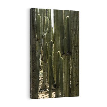 Obraz na płótnie 50x70 - Wyjątkowy Klimat Boho - kaktusy, pustynia