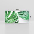 Obraz na płótnie 100x50 - Monstera - Liście Kwiaty - monstera, liście