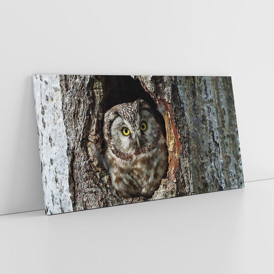 Obraz na płótnie 140x70 - Tajemniczy W świecie Nocy - sowa, dziupla