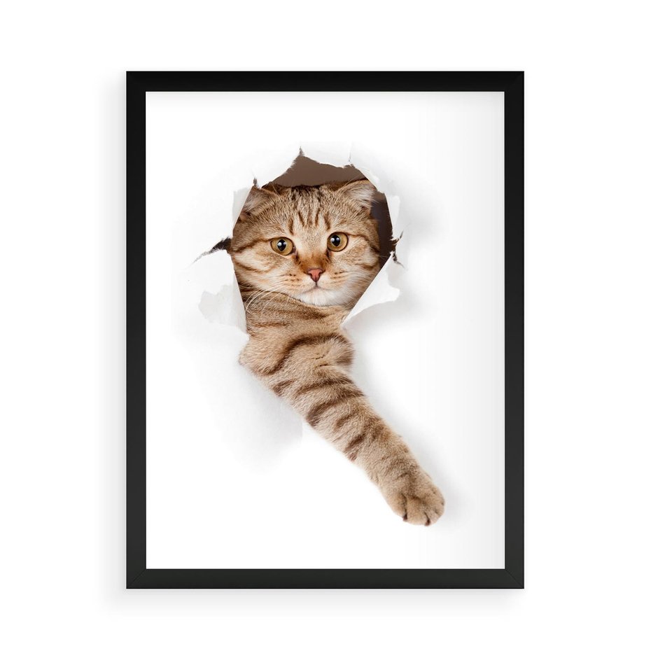 Plakat w ramie 50x70 - Kot w Dziurze - kot, dziura - rama czarna