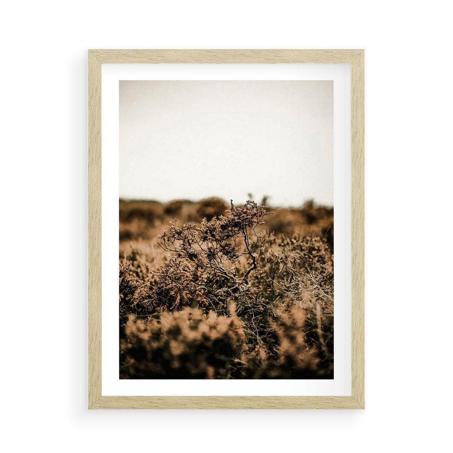 Plakat w ramie 50x70 - Krajobraz W Naturze: Beże i Brązy - suche krzewy, natura - rama drewno