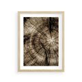 Plakat w ramie 30x40 - Natura Pod Lupą - pień drzewa, przekrój - rama drewno