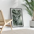 Plakat bez ramy 21x30 - Palmy w Zgaszonej Zieleni - palmy, tropikalne liście