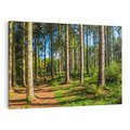 Obraz na płótnie 70x50 - Mistyfikacje lasu - las, drzewa