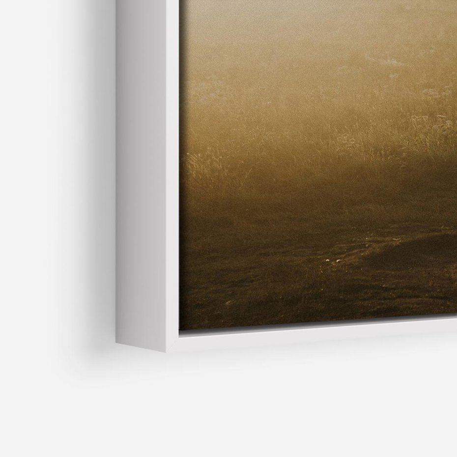 Obraz w ramie 80x80 - Mglisty zachód słońca na ławeczce - mgła, zachód - rama biała