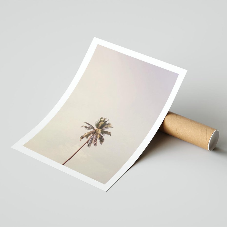 Plakat bez ramy 21x30 - Samotna Palma pod Niebem - samotna palma, na tle nieba