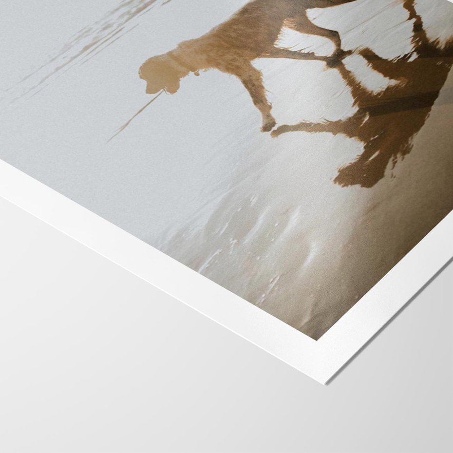 Plakat bez ramy 21x30 - Przyjaciel na Plaży - pies, na plaży