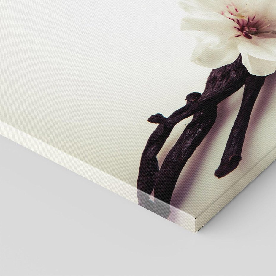 Obraz na płótnie 70x50 - Czuła delikatność wanilii - wanilia, kwiaty