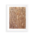Plakat w ramie 40x50 - Mistrzowskie suche trawy - suche, trawy - rama biała