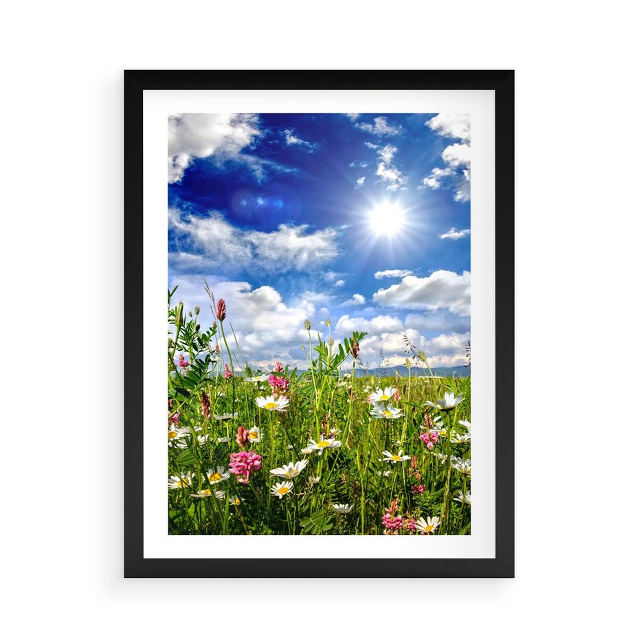 Plakat w ramie 50x70 - Niebiańska łąka pełna kwiatów - łąka, niebo - rama czarna