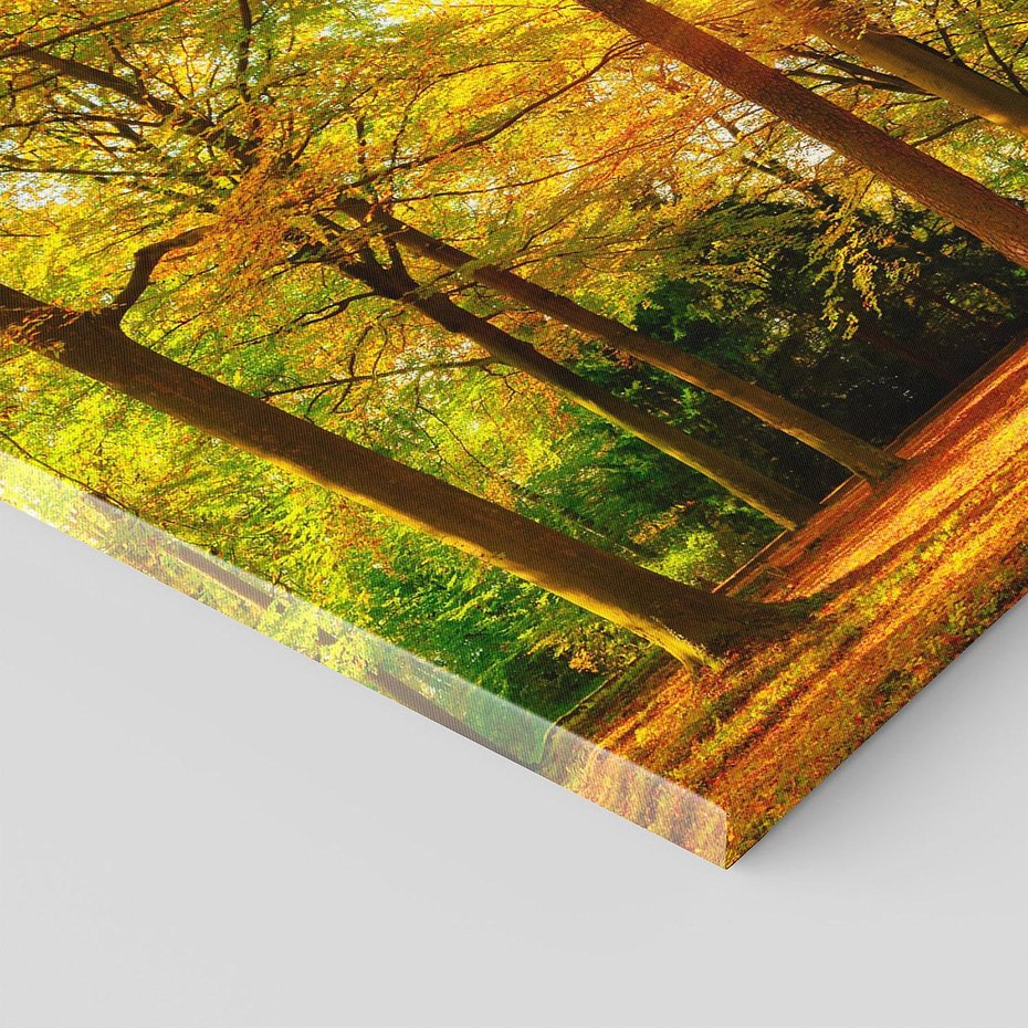 Obraz na płótnie 100x50 - Urok jesiennego lasu - las, drzewa