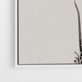 Obraz w ramie 50x50 - Cień Kwiatowej Delikatności - kwiat, cień - rama biała