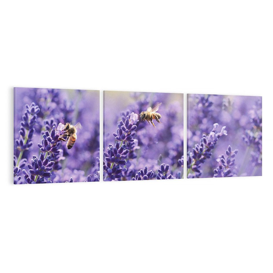 Obraz na płótnie 120x40 - Magia lawendy delikatne kwiaty - lawenda, kwiat