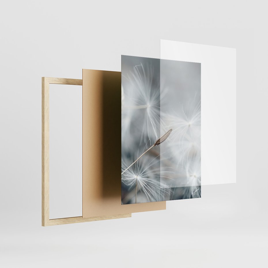 Zestaw obrazy w ramie 30x40 galeria - Dmuchawce, makro, natura, kwiaty - rama drewno