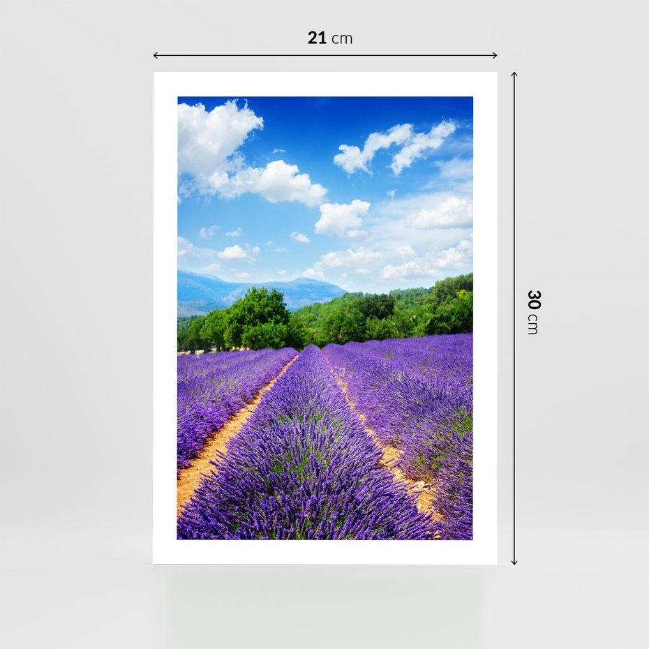 Plakat bez ramy 21x30 - Prowansalska Lawenda - lawenda, prowansja