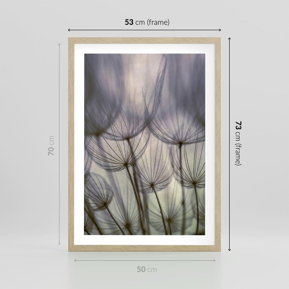 Plakat w ramie 50x70 - Makro dmuchawiec - piękno drobnych detali - dmuchawce, makro - rama drewno