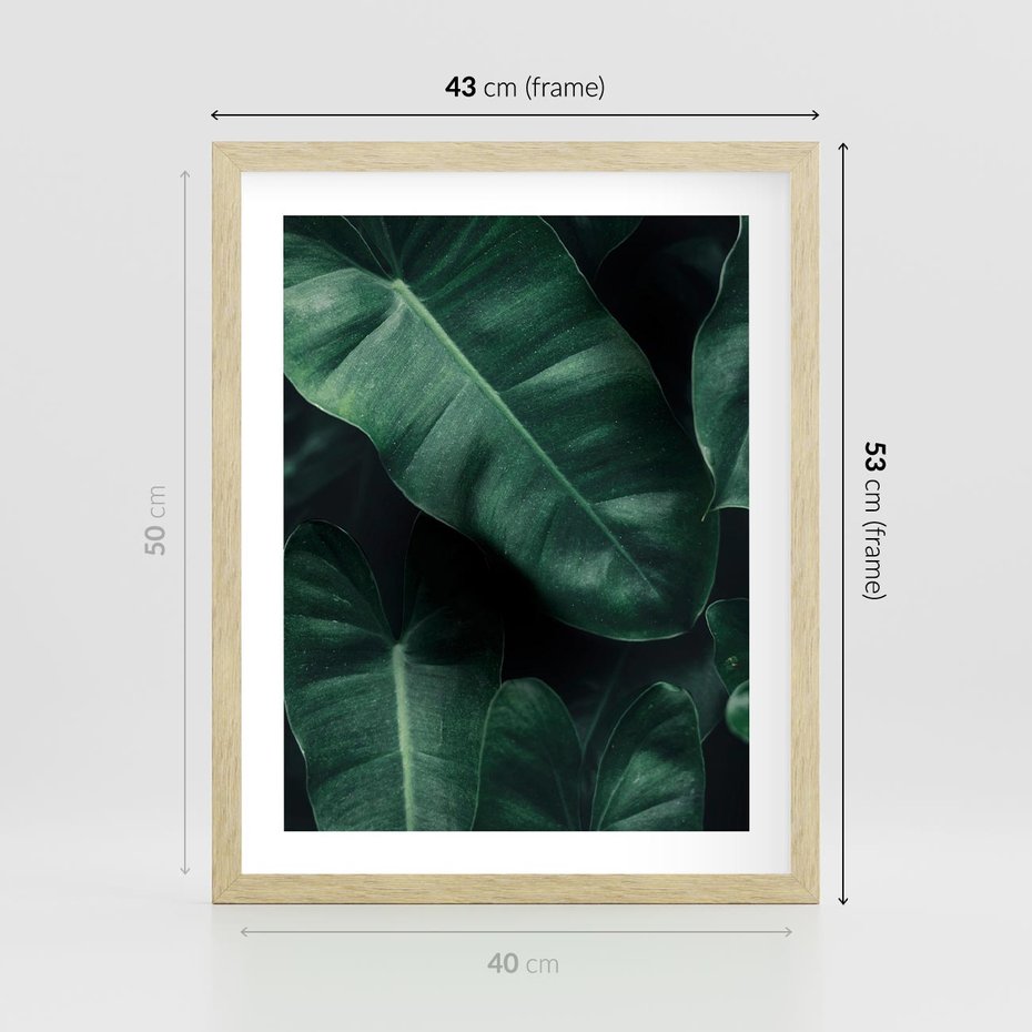 Plakat w ramie 40x50 - Liście Bananowca - minimalizm, zielone liście bananowca - rama drewno