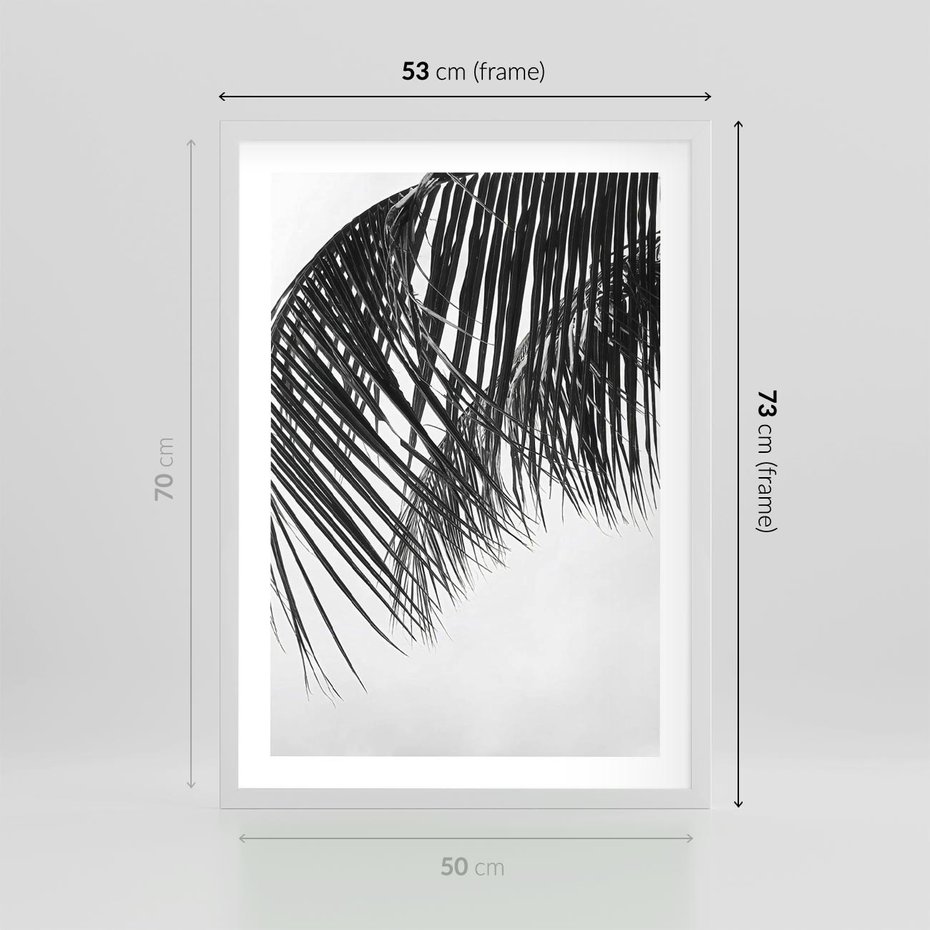 Plakat w ramie 50x70 - Czarno-Biały Kontrast - czarno białe zdjecie, palma - rama biała