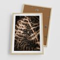 Plakat w ramie 50x70 - Liście i Paprocie - suche liście, paprocie - rama drewno