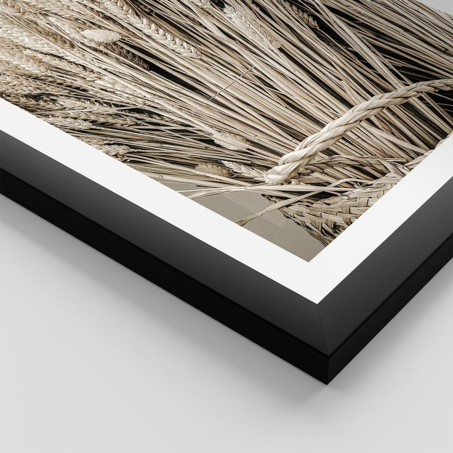 Plakat w ramie 50x70 - Letni Plon - zboże, kłosy zboża - rama czarna