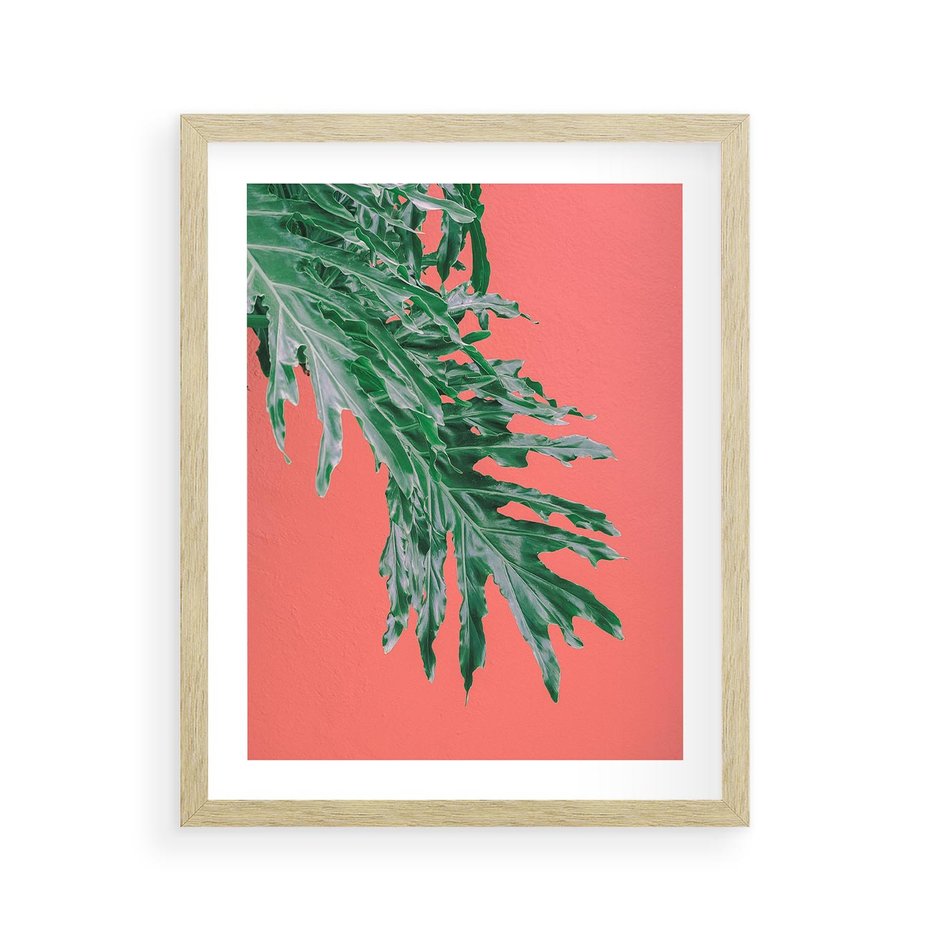 Plakat w ramie 40x50 - Energetyczna Eksplozja Natury - liście, kolor - rama drewno