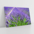 Obraz na płótnie 100x70 - Lawendowe pola piękno natury - lawenda, kwiaty