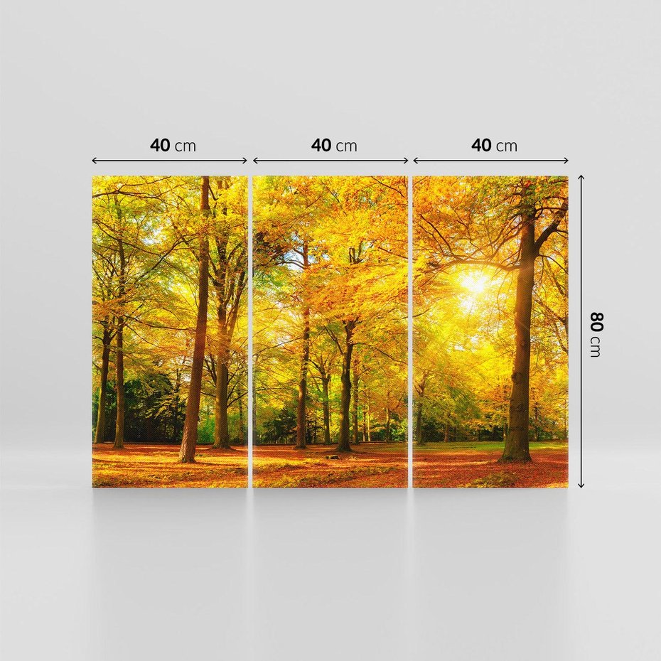 Obraz na płótnie 120x80 - Urok jesiennego lasu - las, drzewa